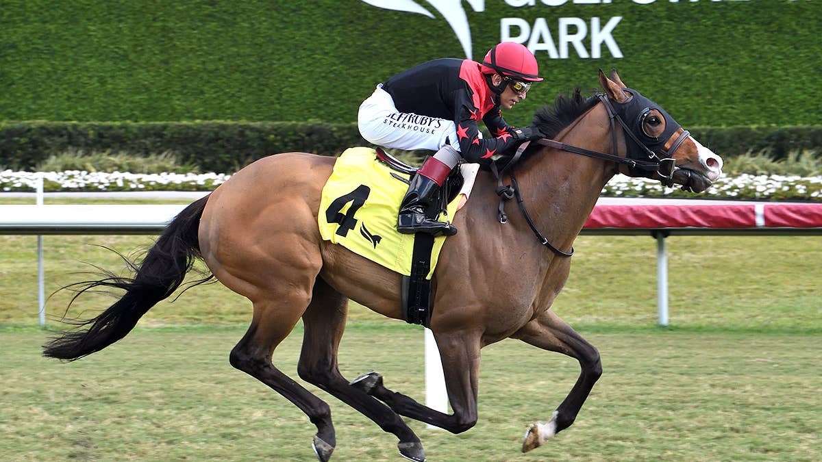 Trainer Lauren Robson Seeks First Career Stakes Win In Monmouth’s My Frenchman