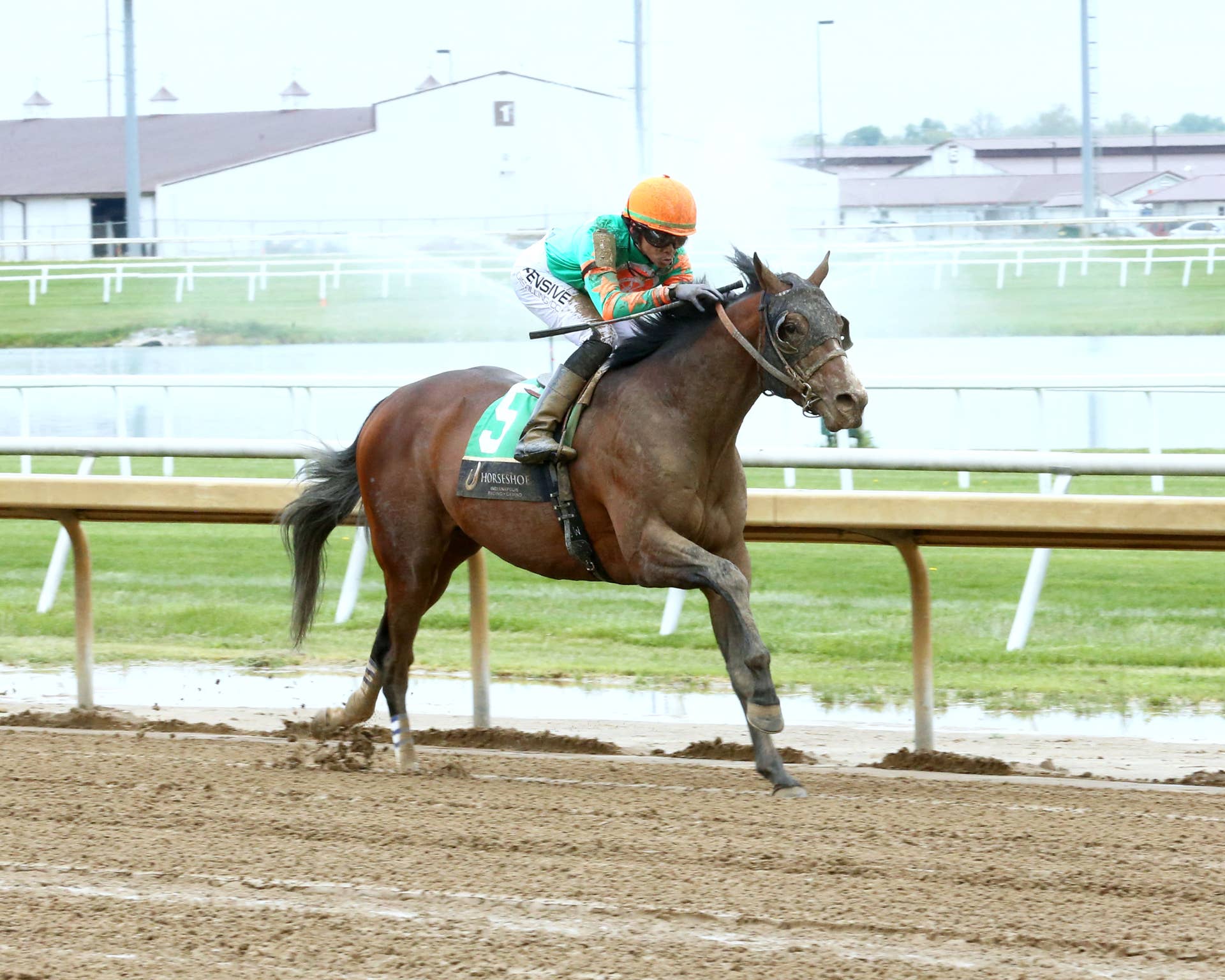 Articles by Jennie Rees/Horseshoe Indianapolis - Paulick Report