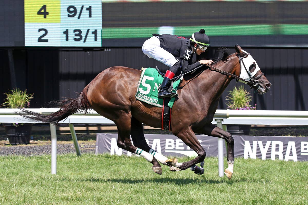2011 Triple Crown Orfevre マーカー 2011 Triple Crown Orfevre マーカー 【公式通販】