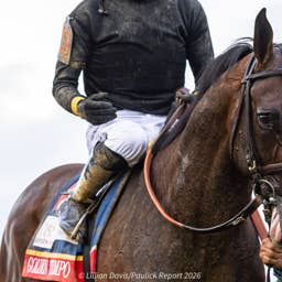Bloodlines Presented By Walmac Farm: The Classic Family Of Kentucky Derby Winner Golden Tempo