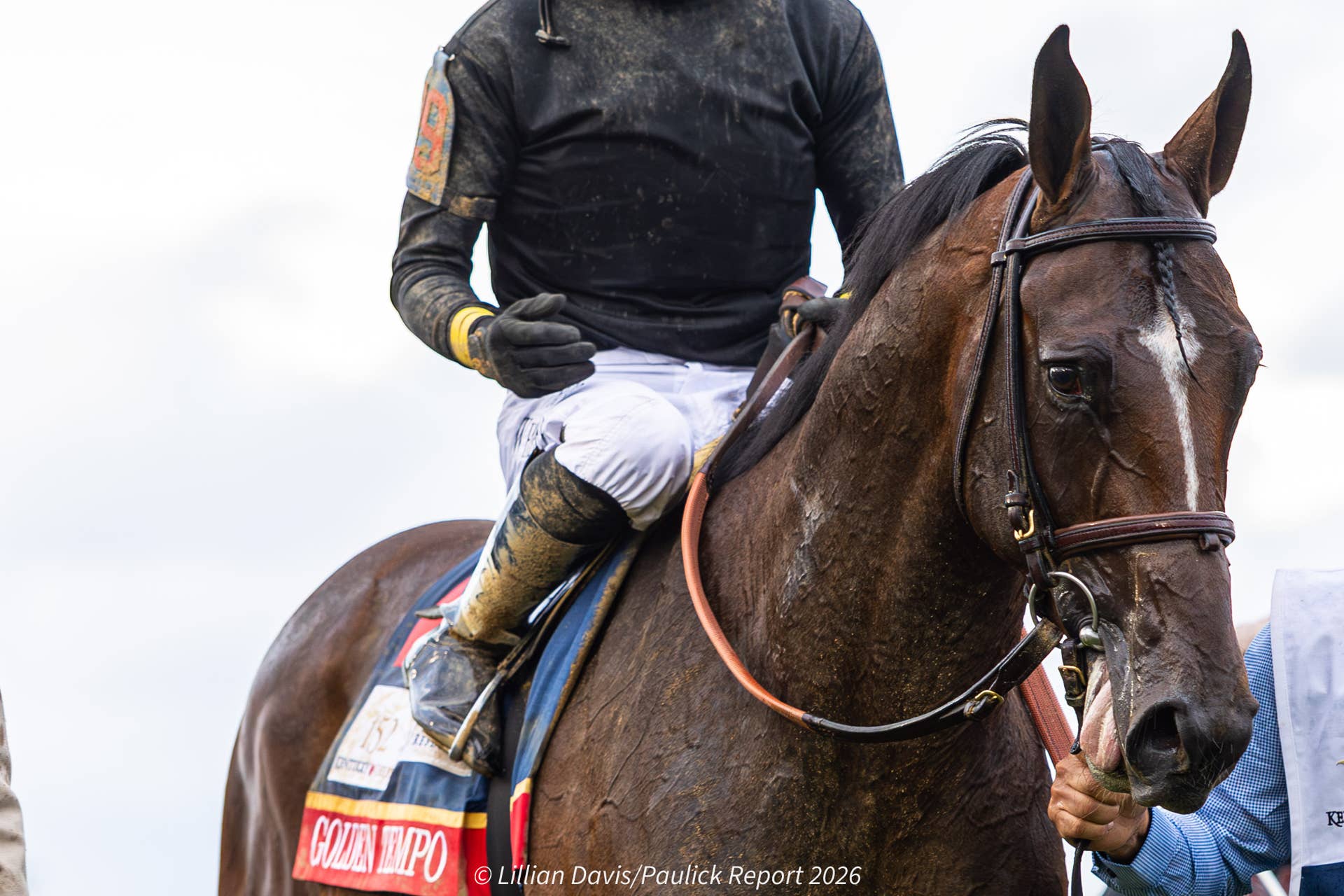 Bloodlines Presented By Walmac Farm: The Classic Family Of Kentucky Derby Winner Golden Tempo - Paulick Report