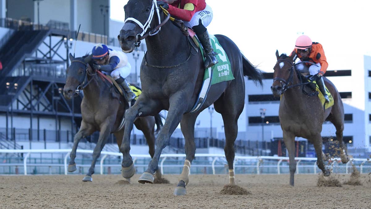 Grammy Girl Tops Vagrancy Exacta For Saffie Joseph Jr.