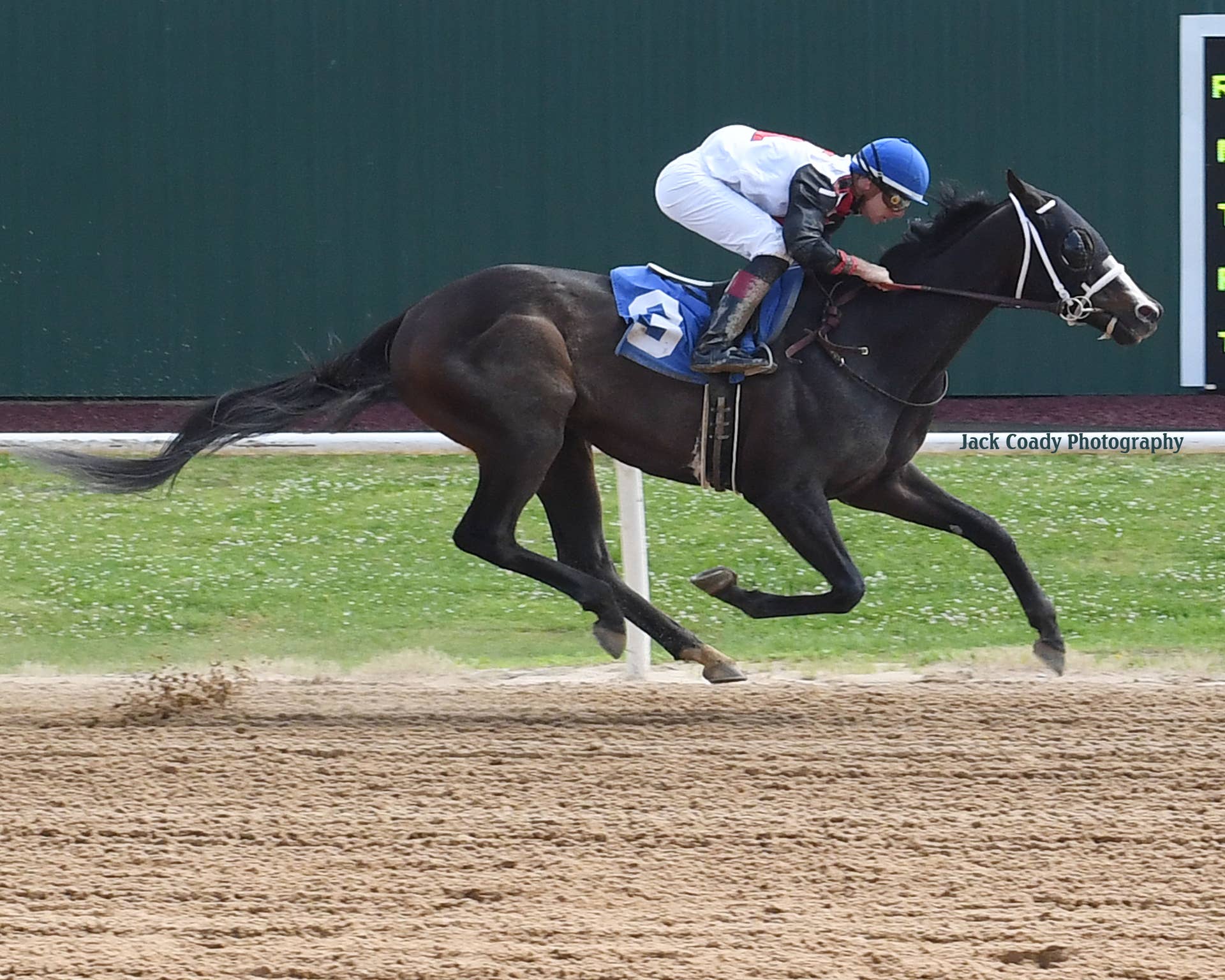 Gentildonna Surges to Victory in Dubai Sheema Classic - Paulick Report
