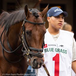 Breeders' Cup Present Connections: Talkin Takes Road Less Traveled To Preakness