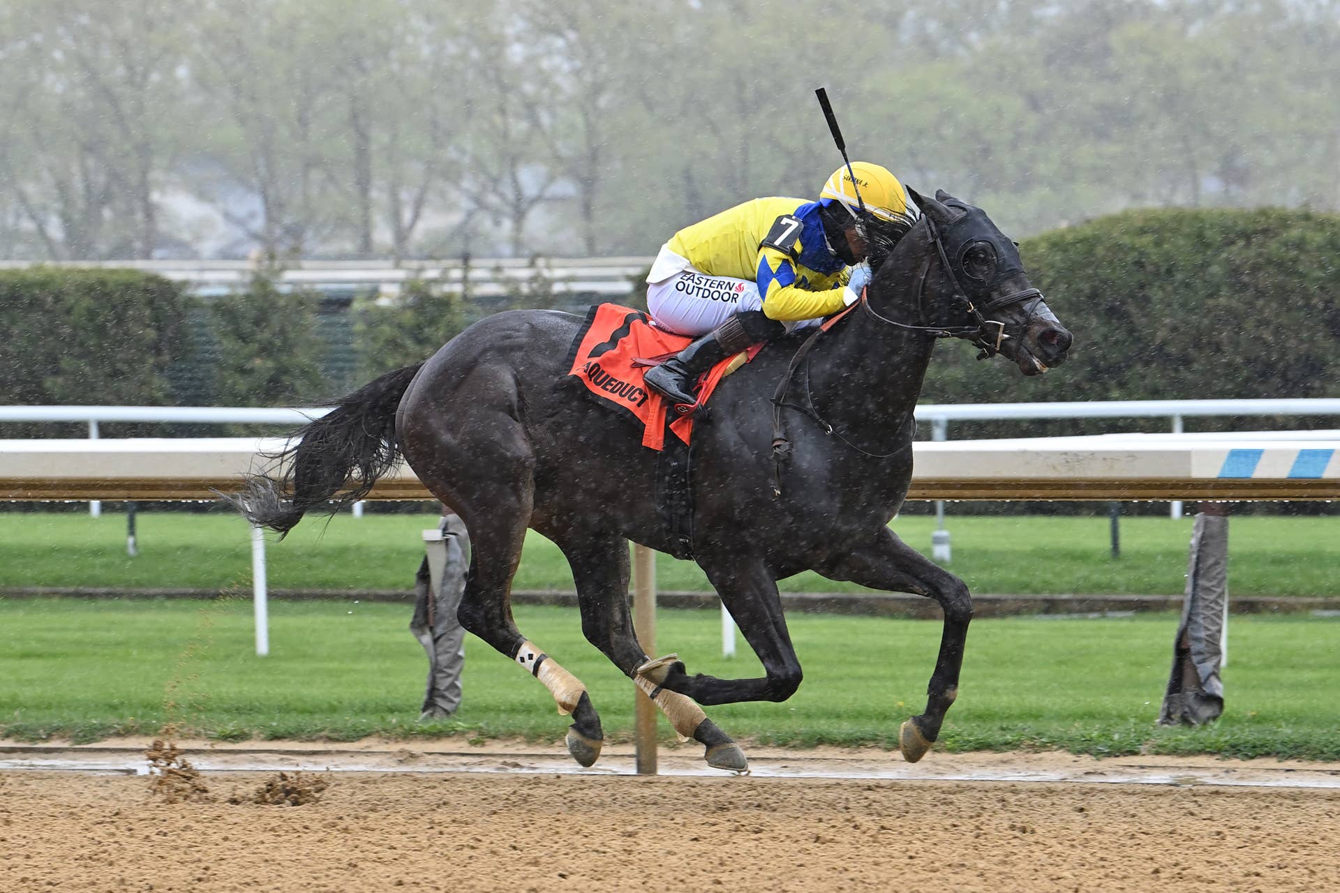 Allowance Winner Pretty Boy Miah Works With Preakness In Mind