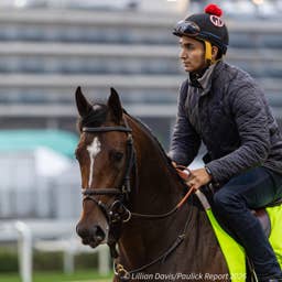 Kirkpatrick & Co. Presents In Their Care: 'He Knows What It Is Like To Be Last'