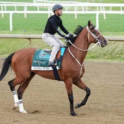 Weekend Lineup: Preakness Runners Return In Iowa Derby