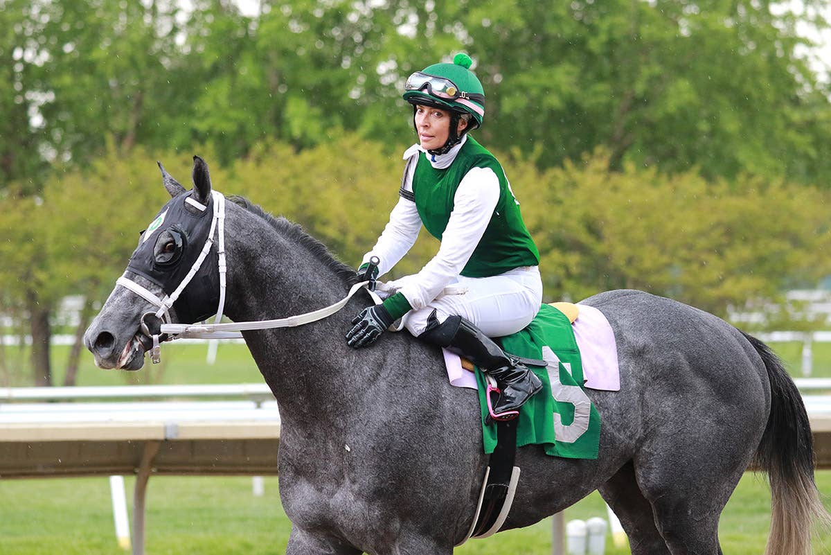【ジェンティルドンナ/2014 DUBAI SHEEMA CLASSIC】 Gentildonna Surges to Victory in Dubai Sheema Classic - Paulick Report