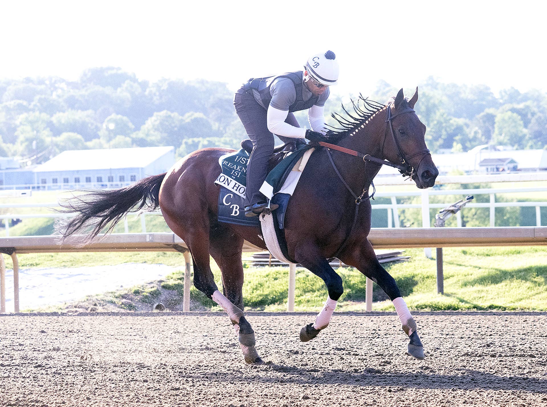 Gentildonna Surges to Victory in Dubai Sheema Classic - Paulick Report