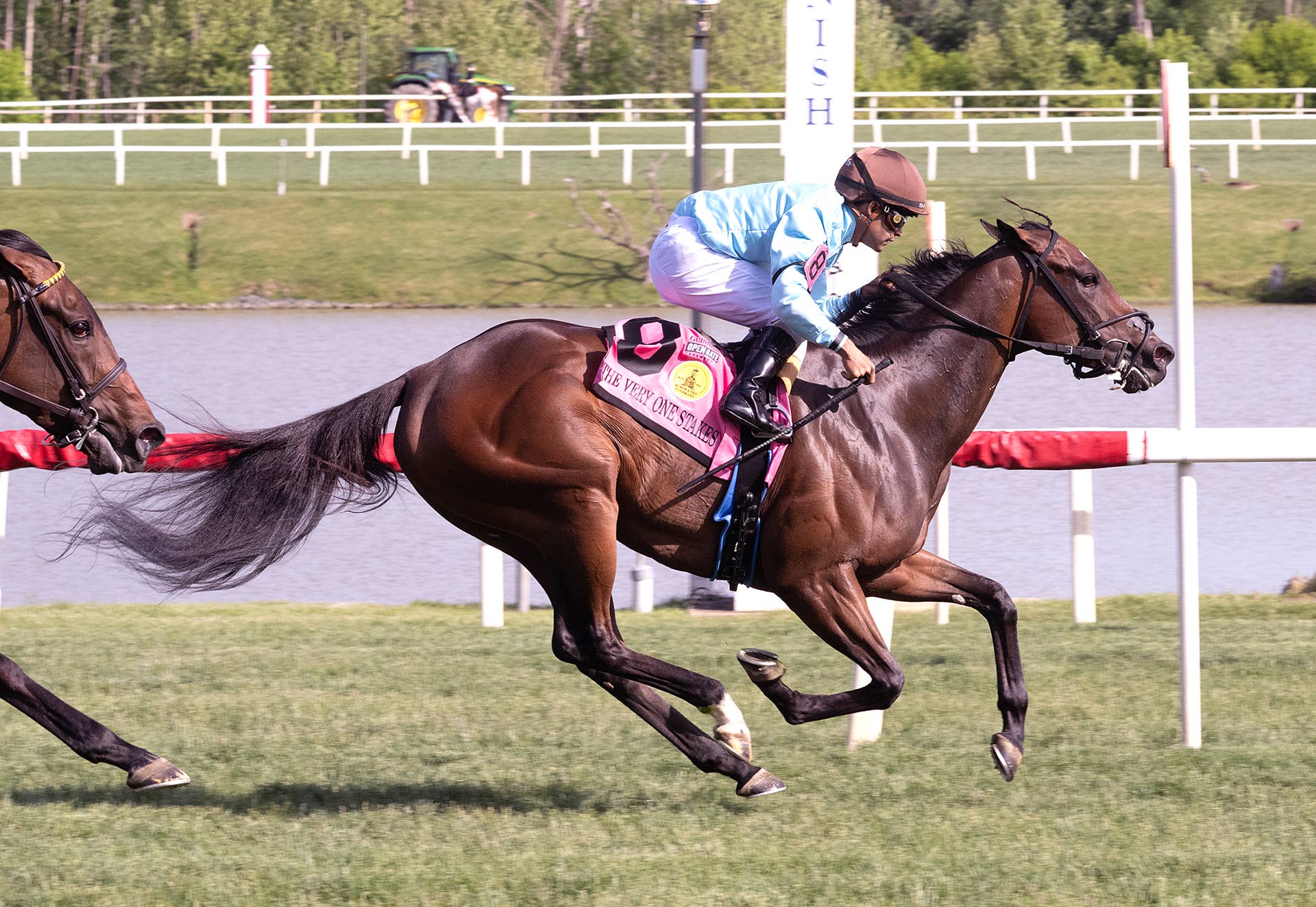 Gentildonna Surges to Victory in Dubai Sheema Classic - Paulick Report