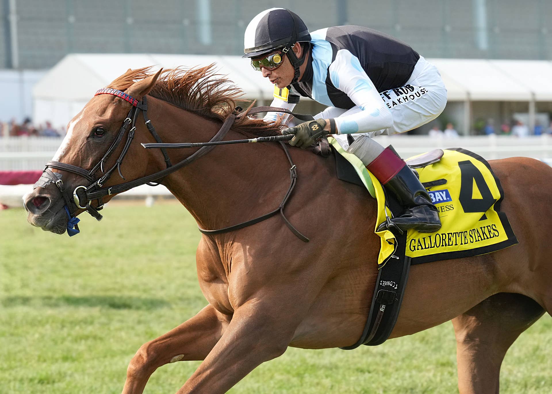Gentildonna Surges to Victory in Dubai Sheema Classic - Paulick Report
