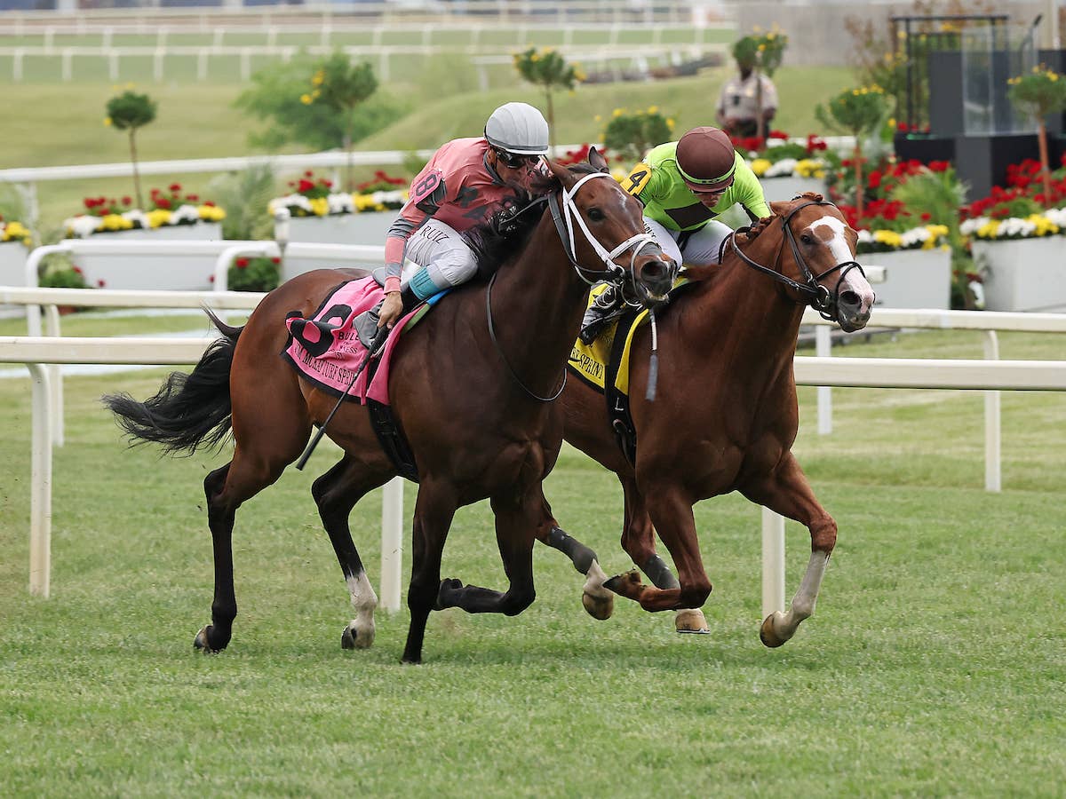 Gentildonna Surges to Victory in Dubai Sheema Classic - Paulick Report