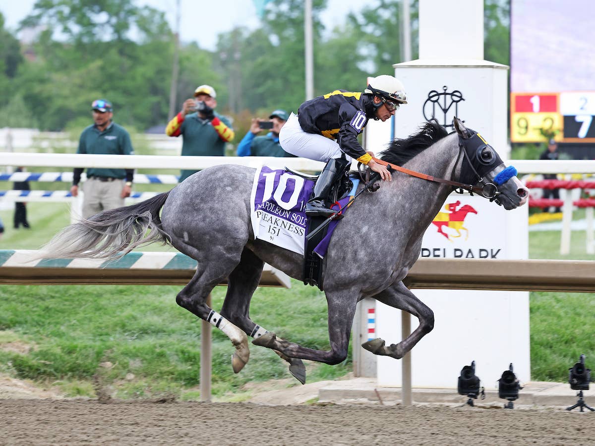 Gentildonna Surges to Victory in Dubai Sheema Classic - Paulick Report