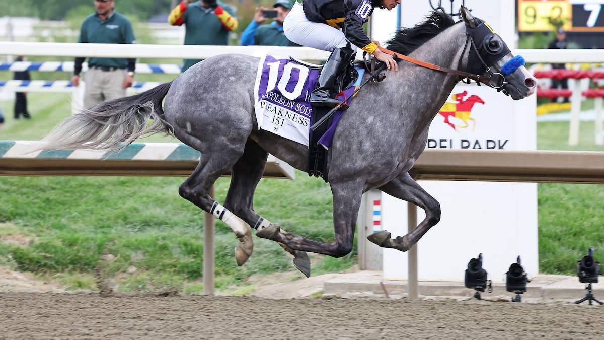 Napoleon Solo, Iron Honor Head 19 Haskell Nominations