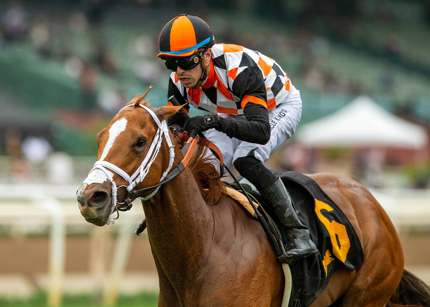 Gentildonna Surges to Victory in Dubai Sheema Classic - Paulick Report