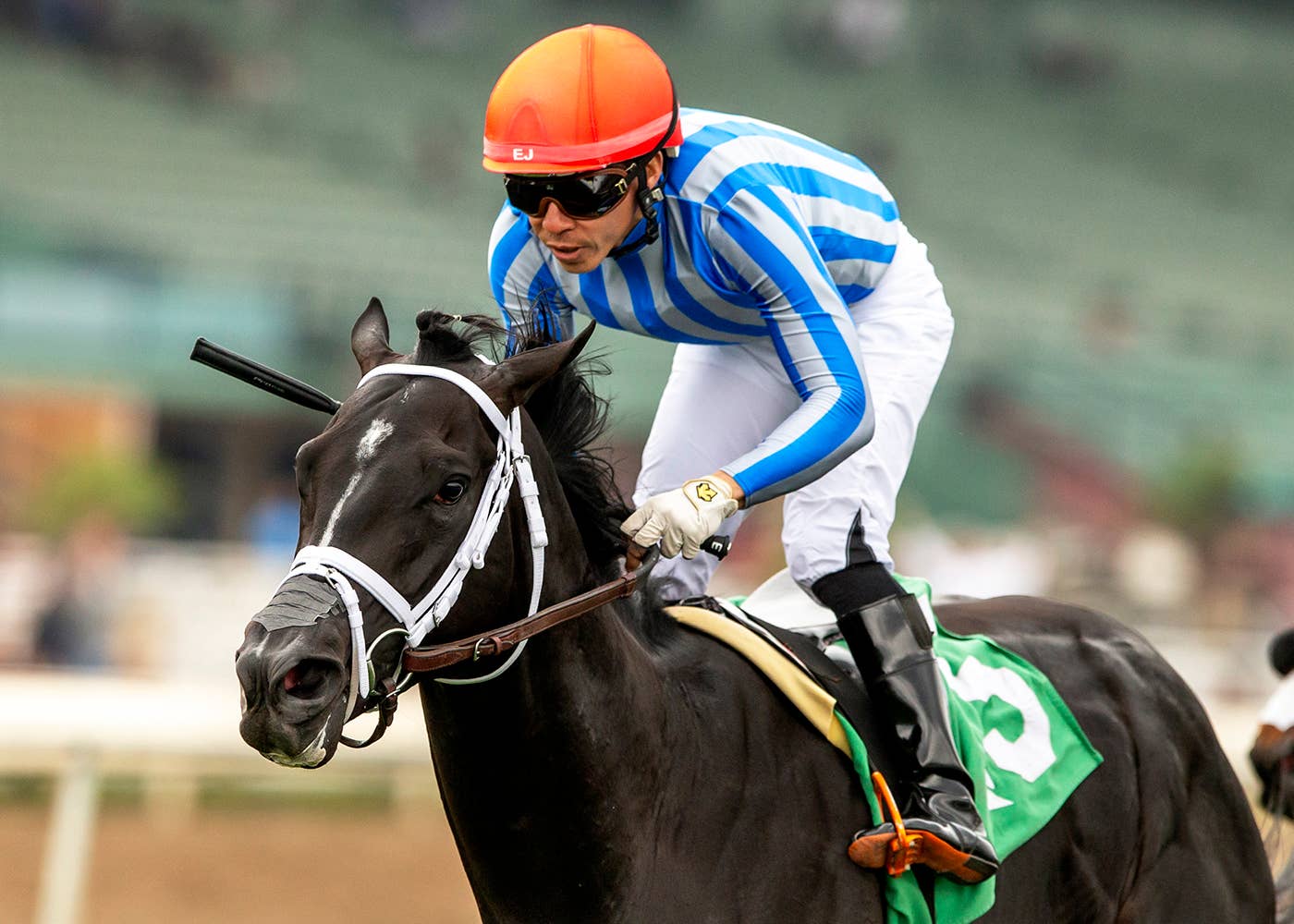 Gentildonna Surges to Victory in Dubai Sheema Classic - Paulick Report