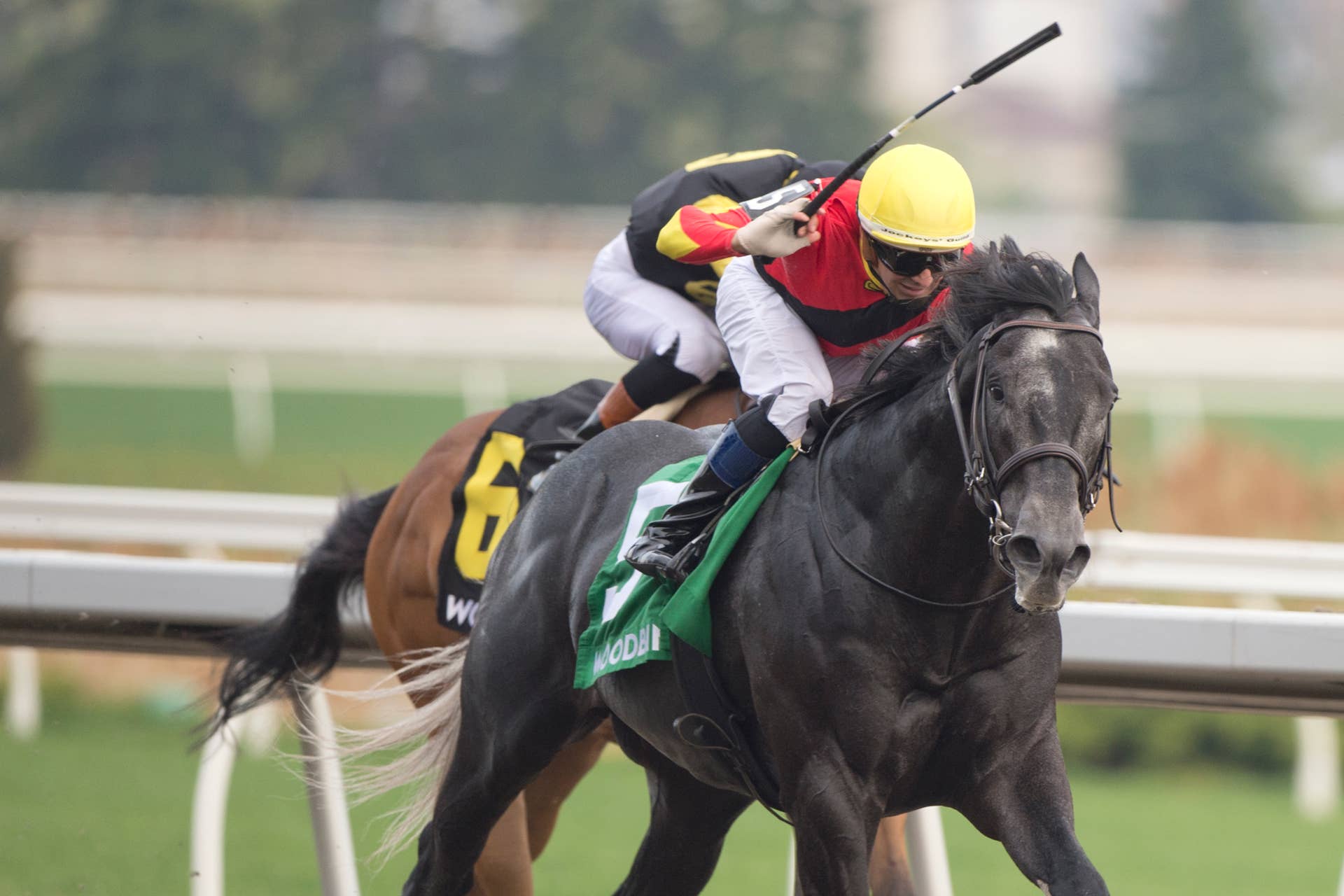 Gentildonna Surges to Victory in Dubai Sheema Classic - Paulick Report