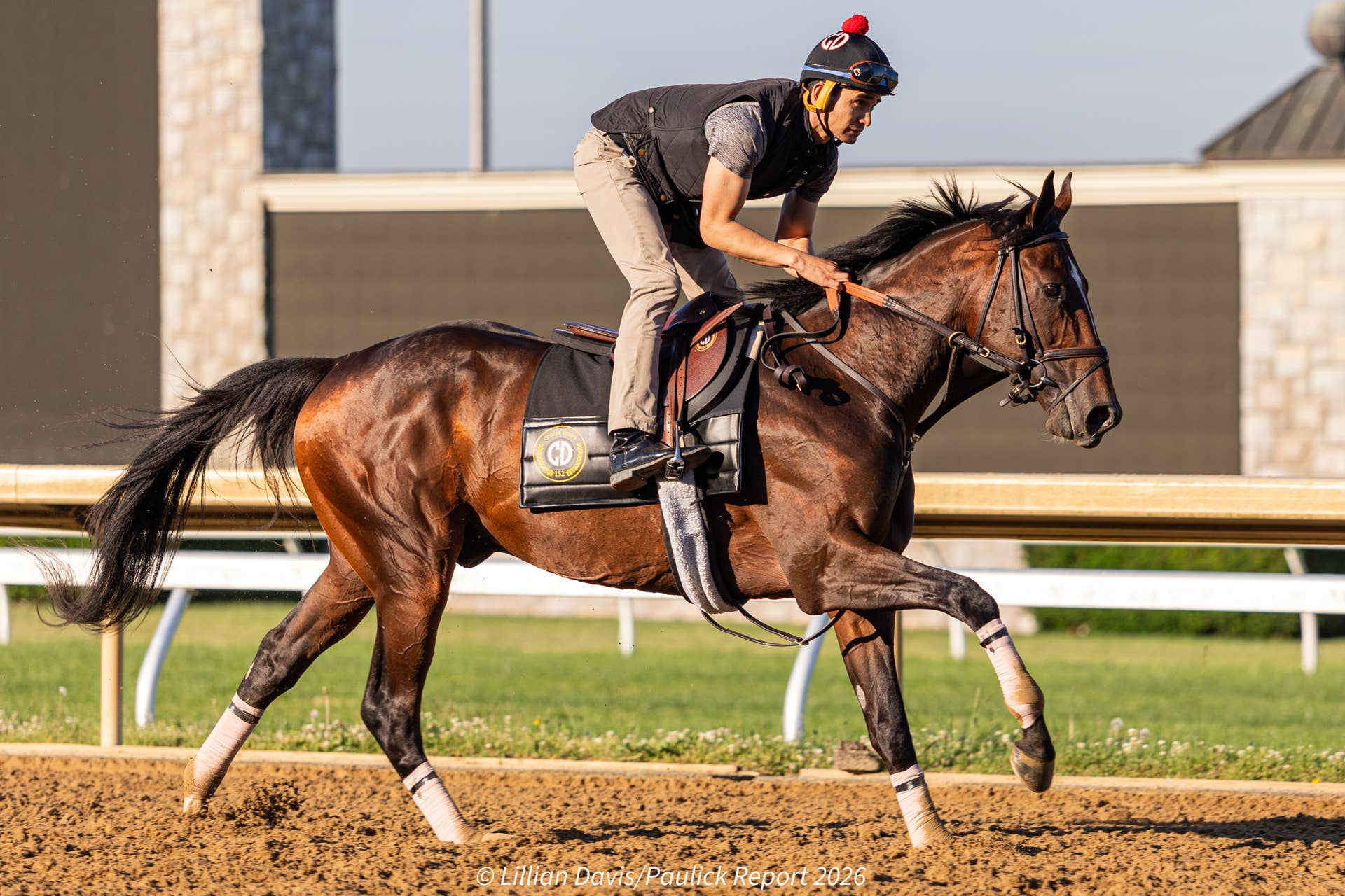 Dual Classic Winner Golden Tempo Will Train Up To Breeders’ Cup Classic
