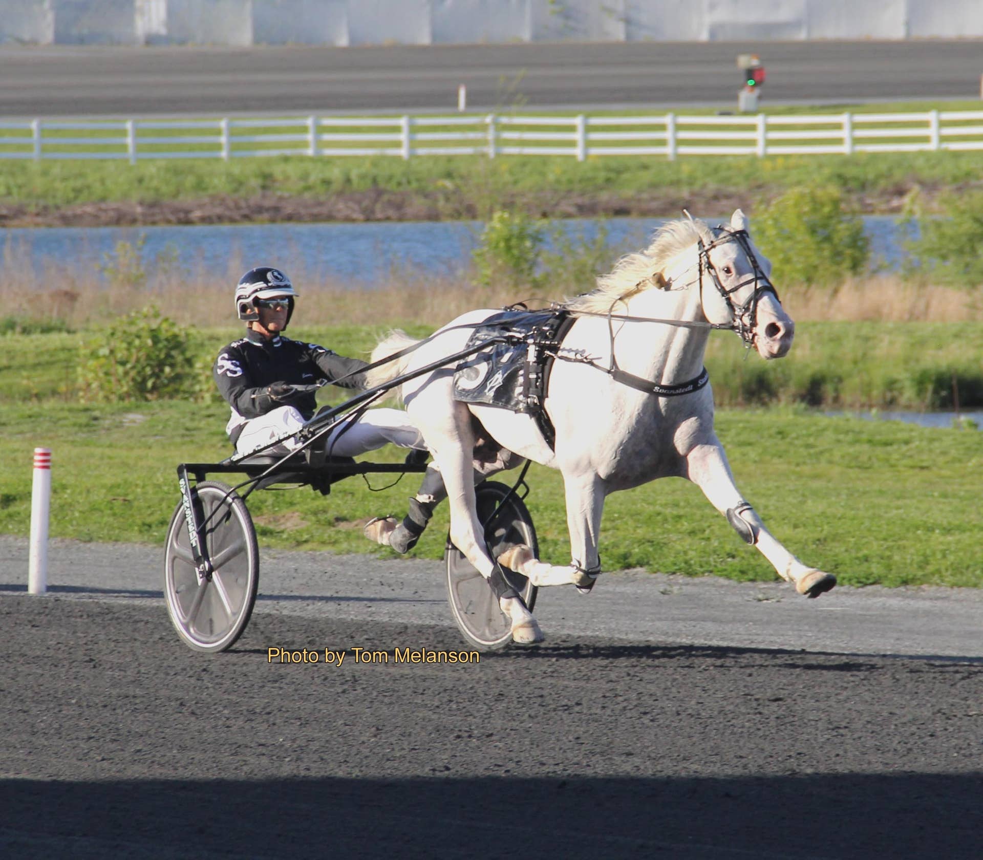 Gentildonna Surges to Victory in Dubai Sheema Classic - Paulick Report