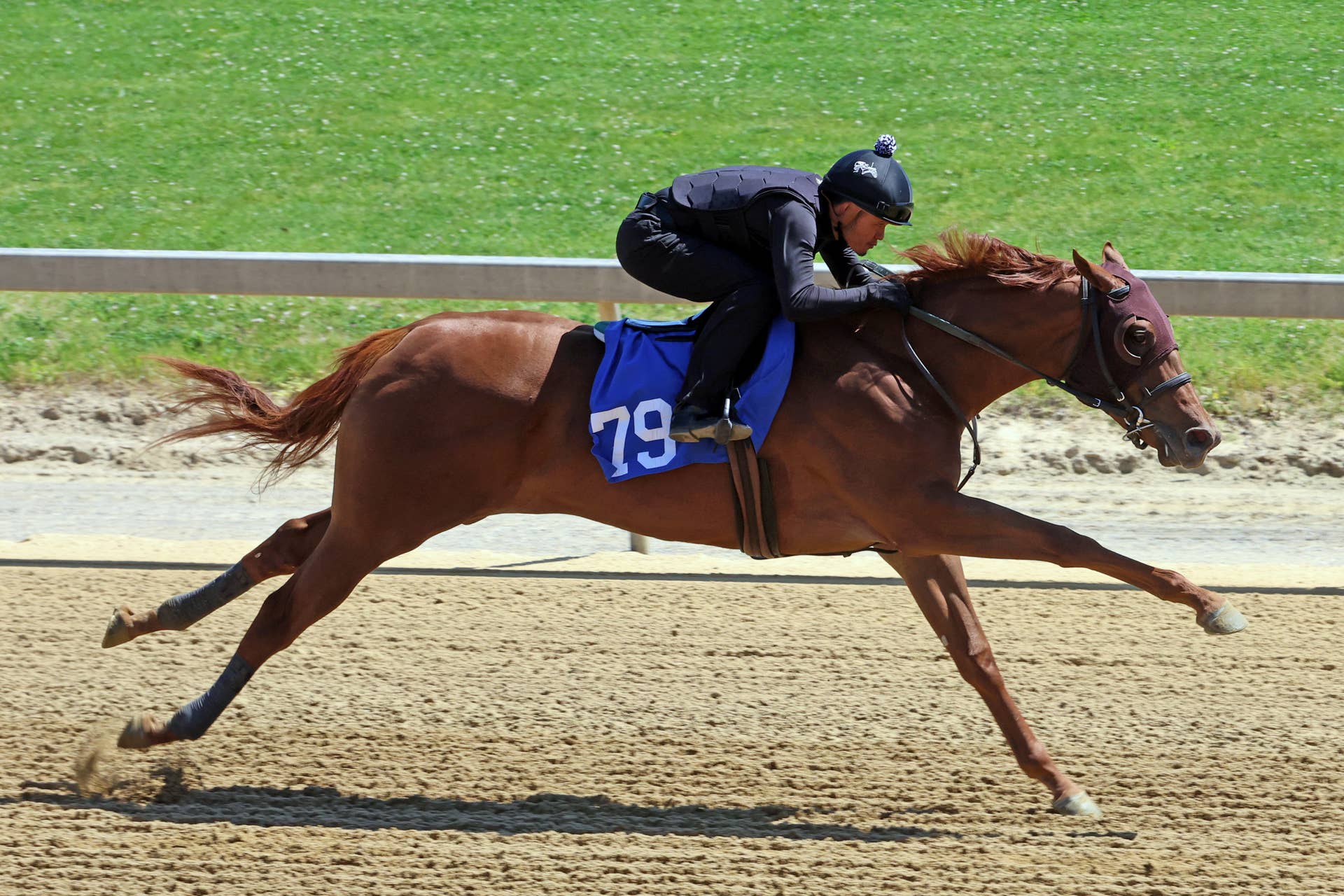 Gentildonna Surges to Victory in Dubai Sheema Classic - Paulick Report