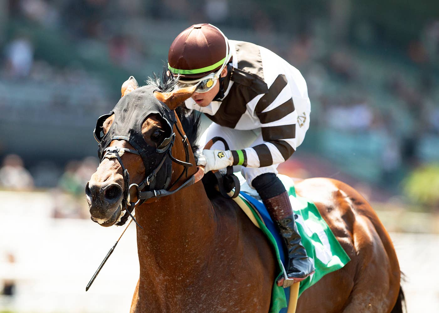 Gentildonna Surges to Victory in Dubai Sheema Classic - Paulick Report