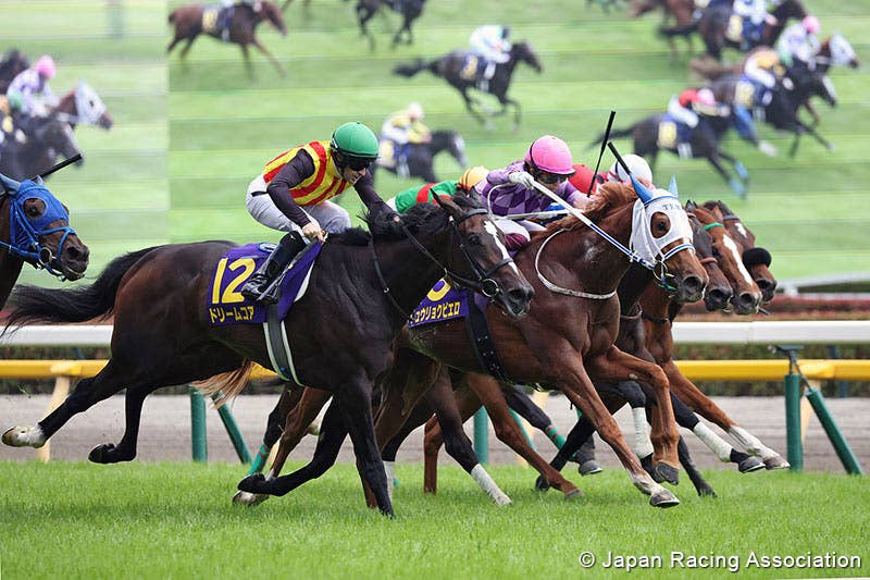 Seina Imamura Juryoku Pierrot victory Oaks 2026 Contraindications & When to Consult a Doctor