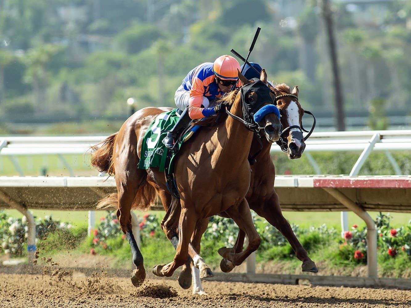 Bob Baffert Saddles Holmby, Miss Monica In Del Mar Debutante