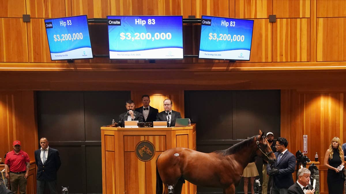 Nyquist Colt Tops Opening Session Of Fasig-Tipton Saratoga Sale