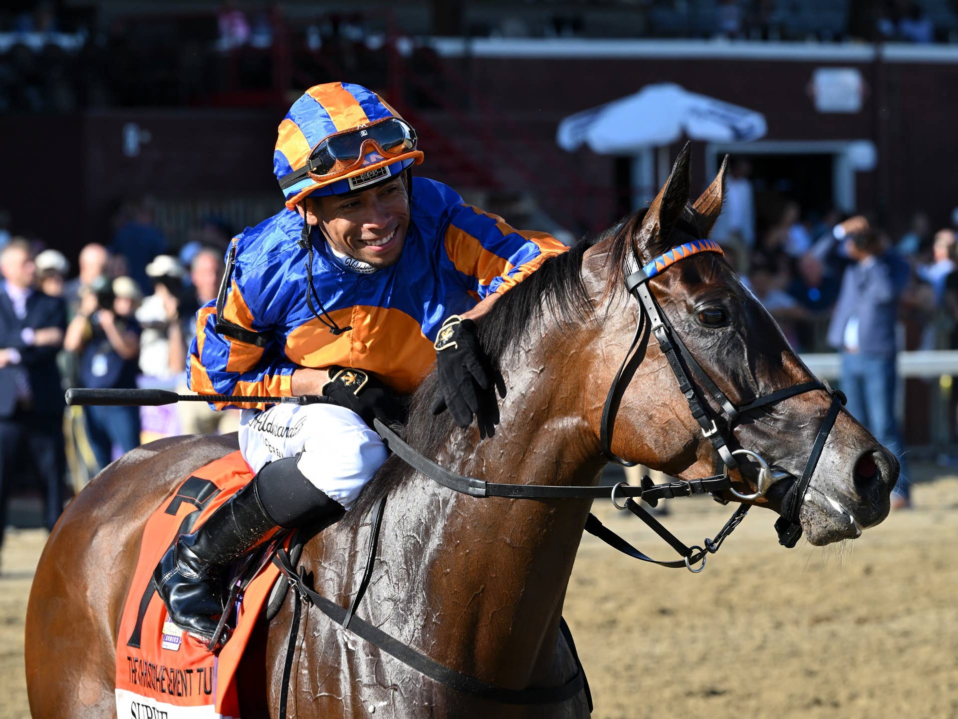 Survie Sweeps From Last, Defeats Males In Christophe Clement Turf