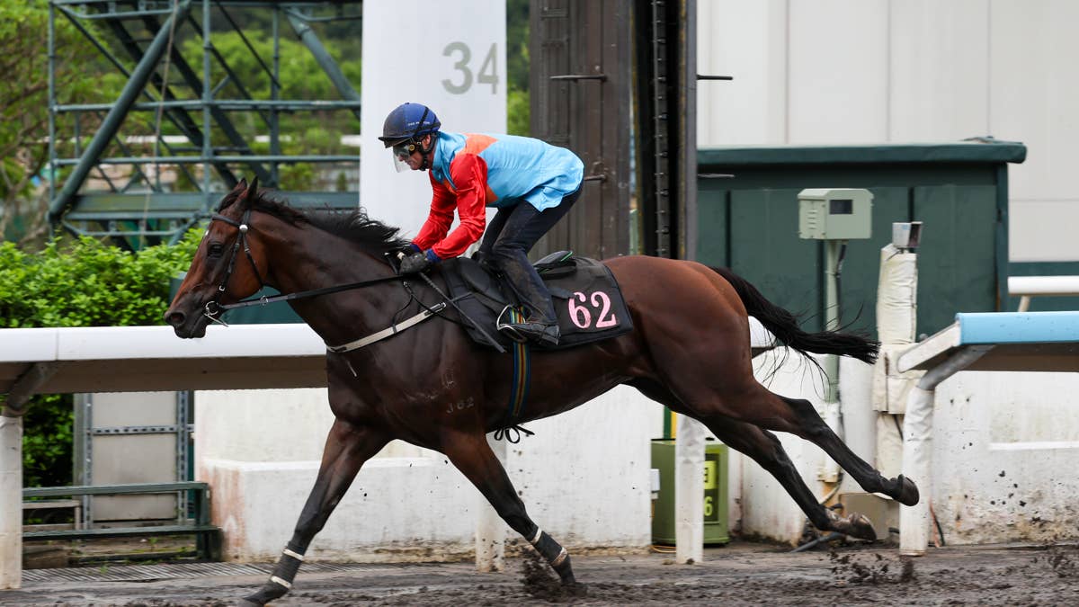 Ka Ying Rising Dominates Barrier Trail Ahead Of Prep Race For The Everest