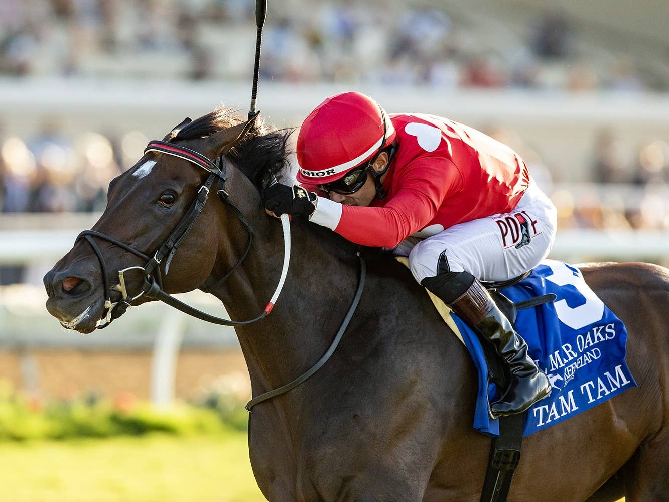 Pace View Ii Del Mar Oaks Top Two Rematch In Queen Elizabeth II Challenge Cup ...