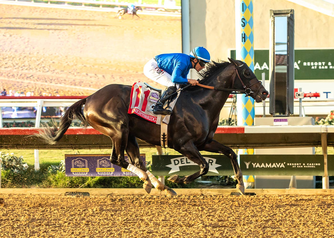 Bloodlines Presented By Walmac Farm: Patience Paid Off For ...