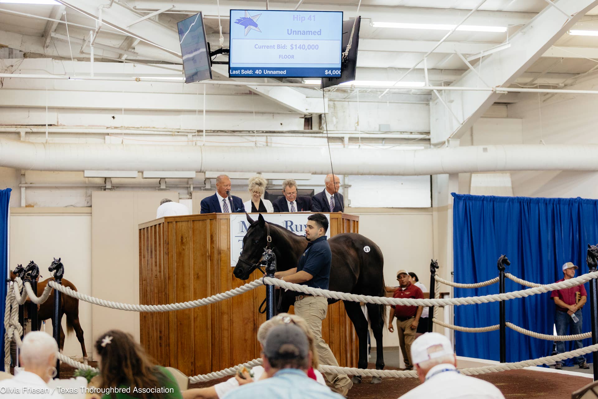 Texas-Bred Gunite Colt Tops 2026 Texas Summer Yearling Sale - Paulick ...