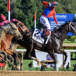A Grade 1 Assist From An Old Friend: Breeders' Cup Presents Connections