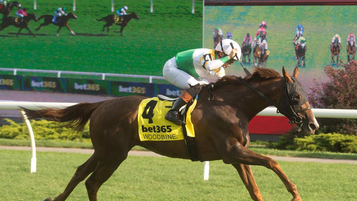 Niagara Winner English Actor Back For More In Singspiel Stakes