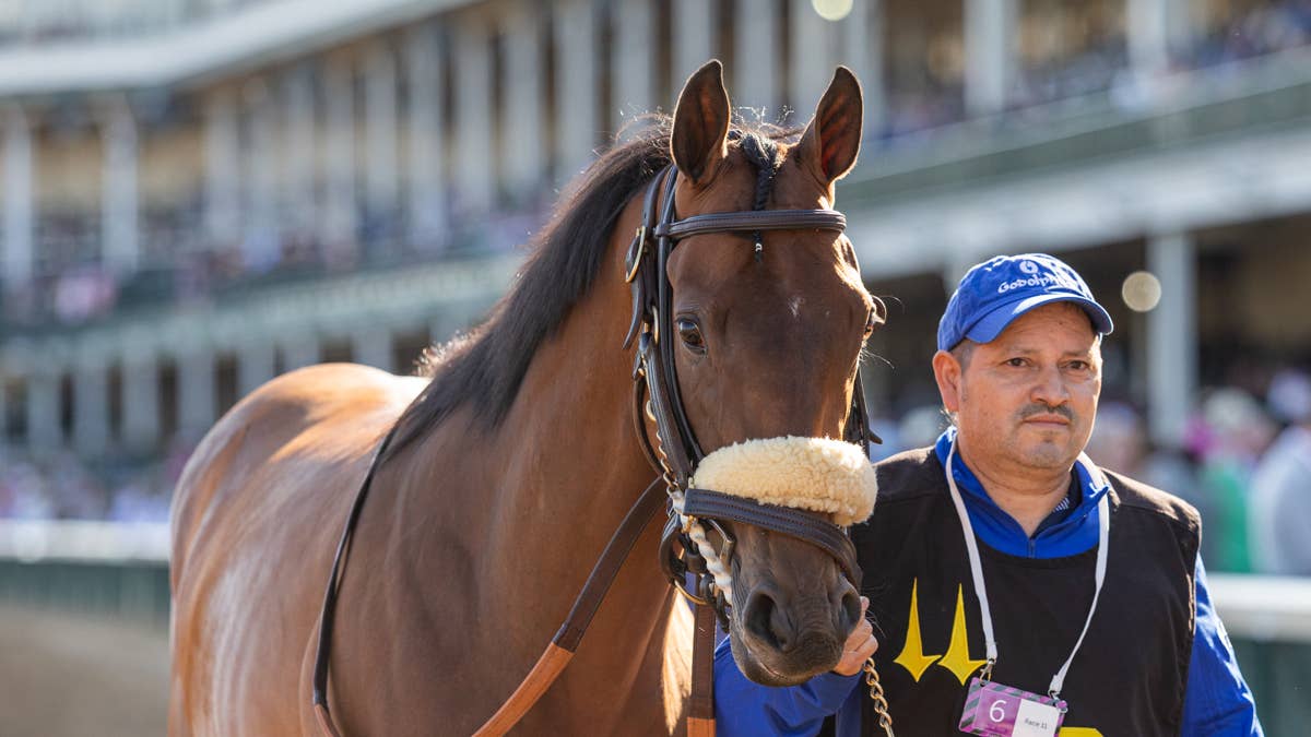 ‘She’s Quirky’: Godolphin’s Hen Party Tries Dirt In Prioress