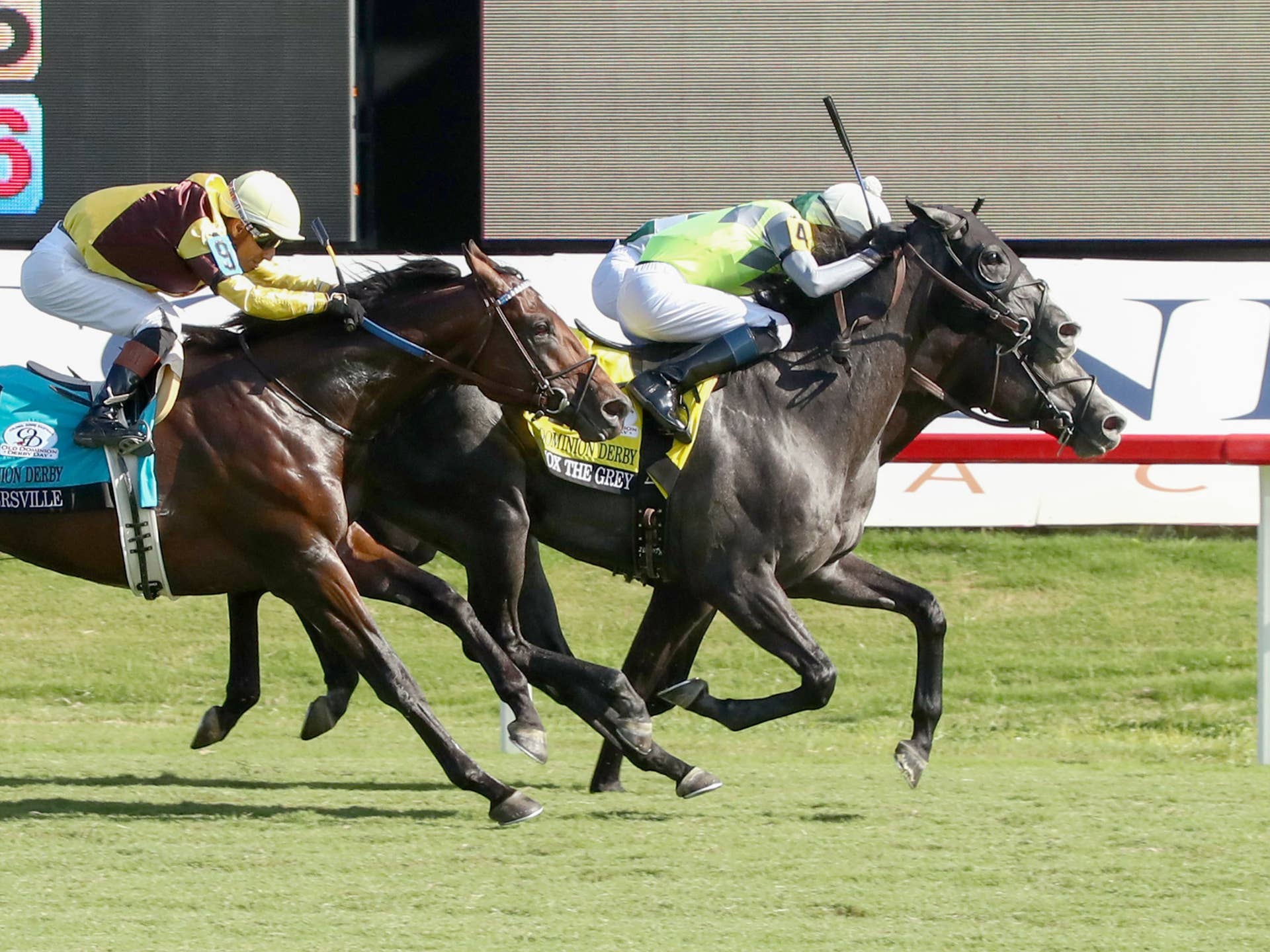 Old Dominion Derby Winner Lennox The Grey Goes For Graded Double In ...