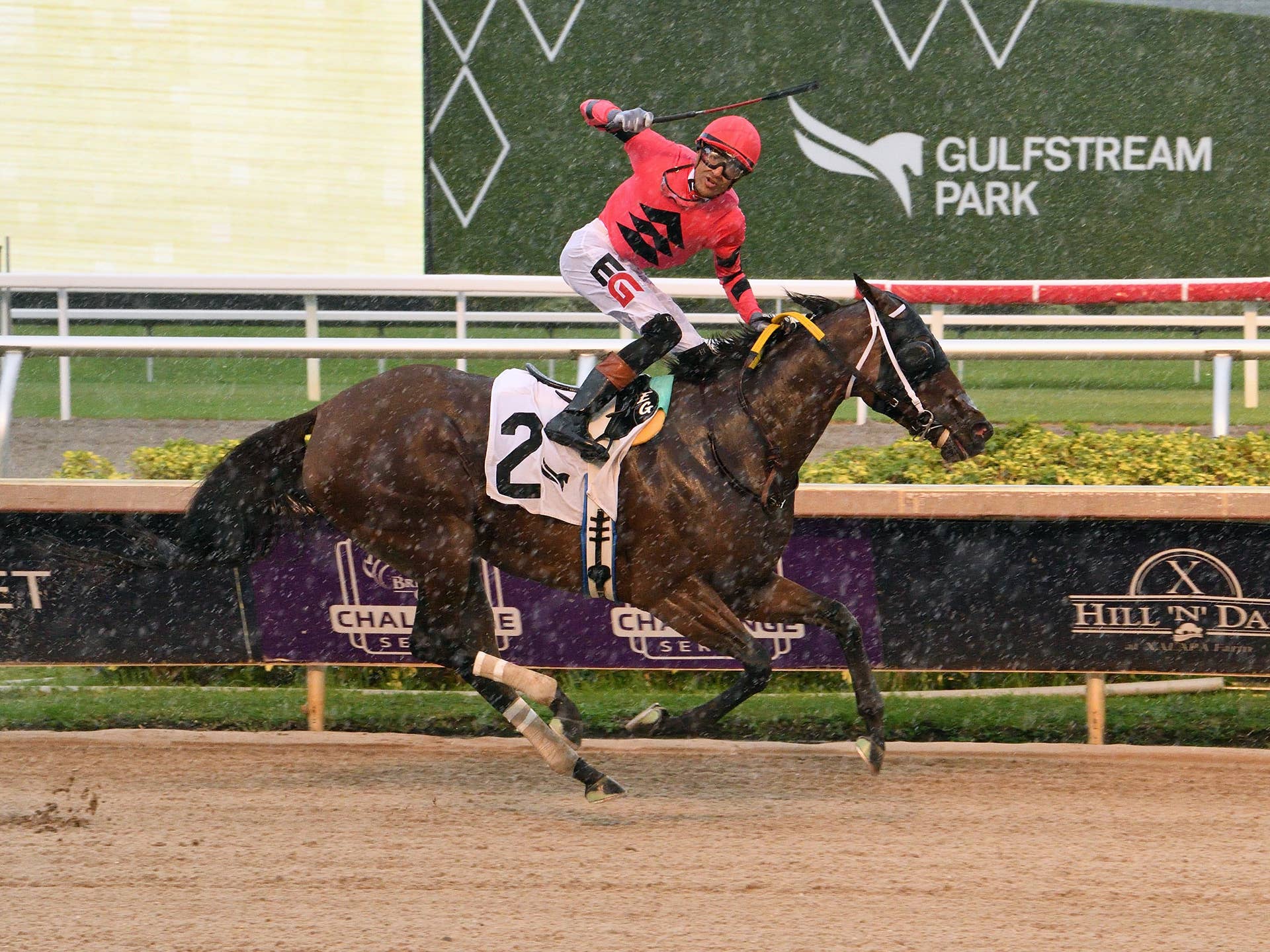 Kerry's Kiss Upstages Simply Joking In Gate-To-Wire Princess Rooney ...