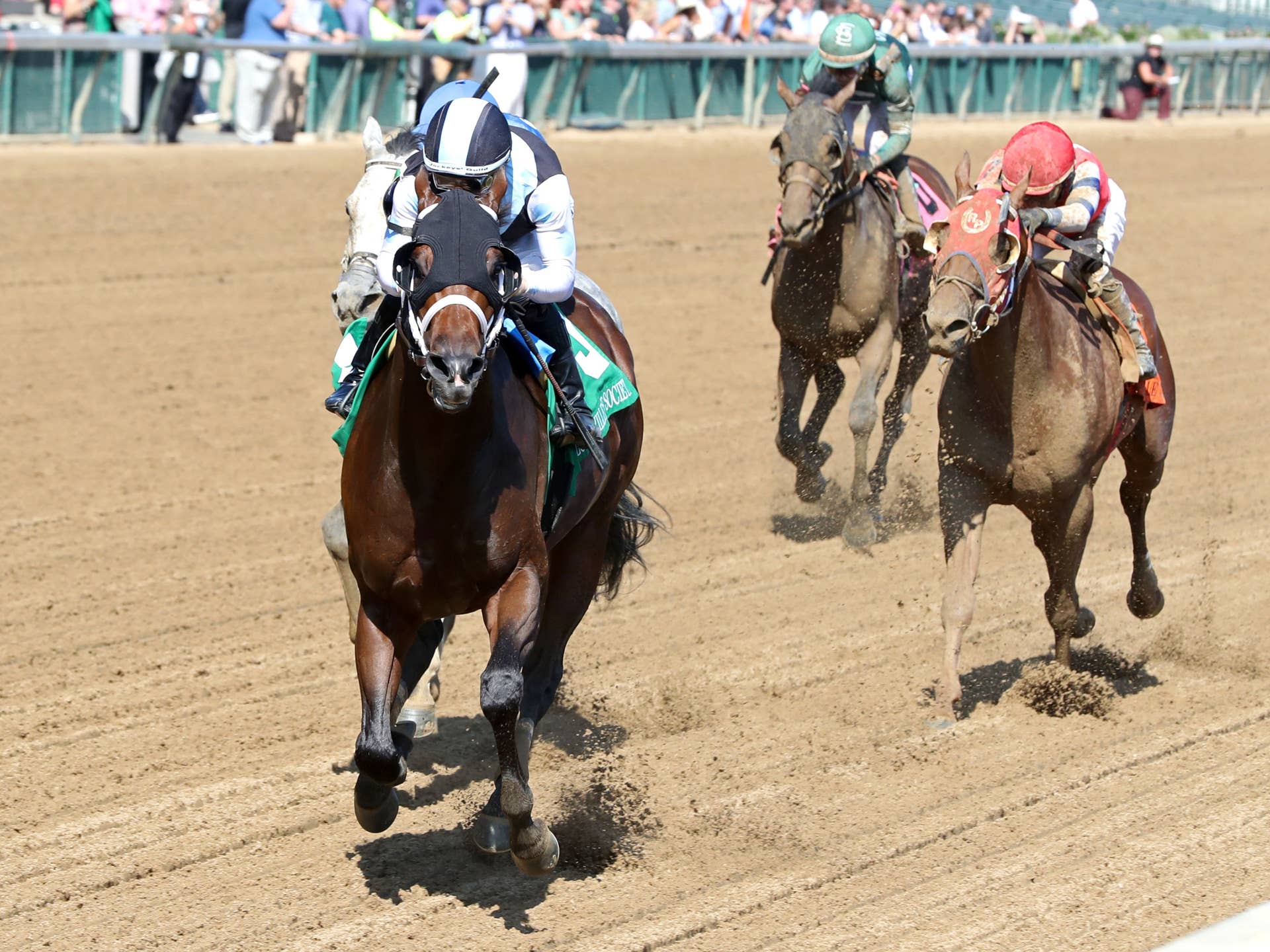 Channel Cat Stallion Breeders' Cup Sprint: Can Built Get A Perfect Trip In 'Cat'-Bird Seat ...