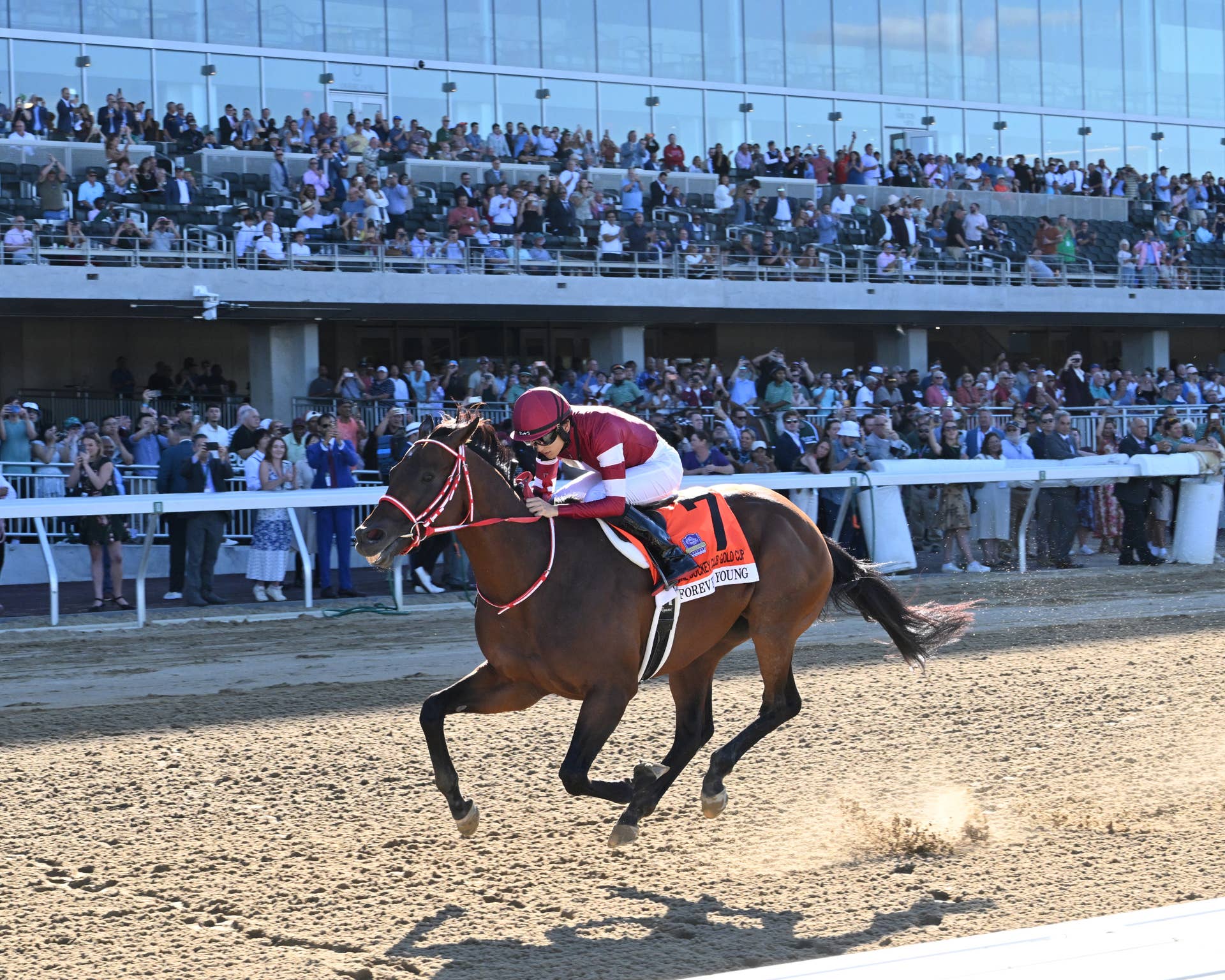Forever Young Tabbed 5-2 Favorite For Breeders’ Cup Classic Future ...