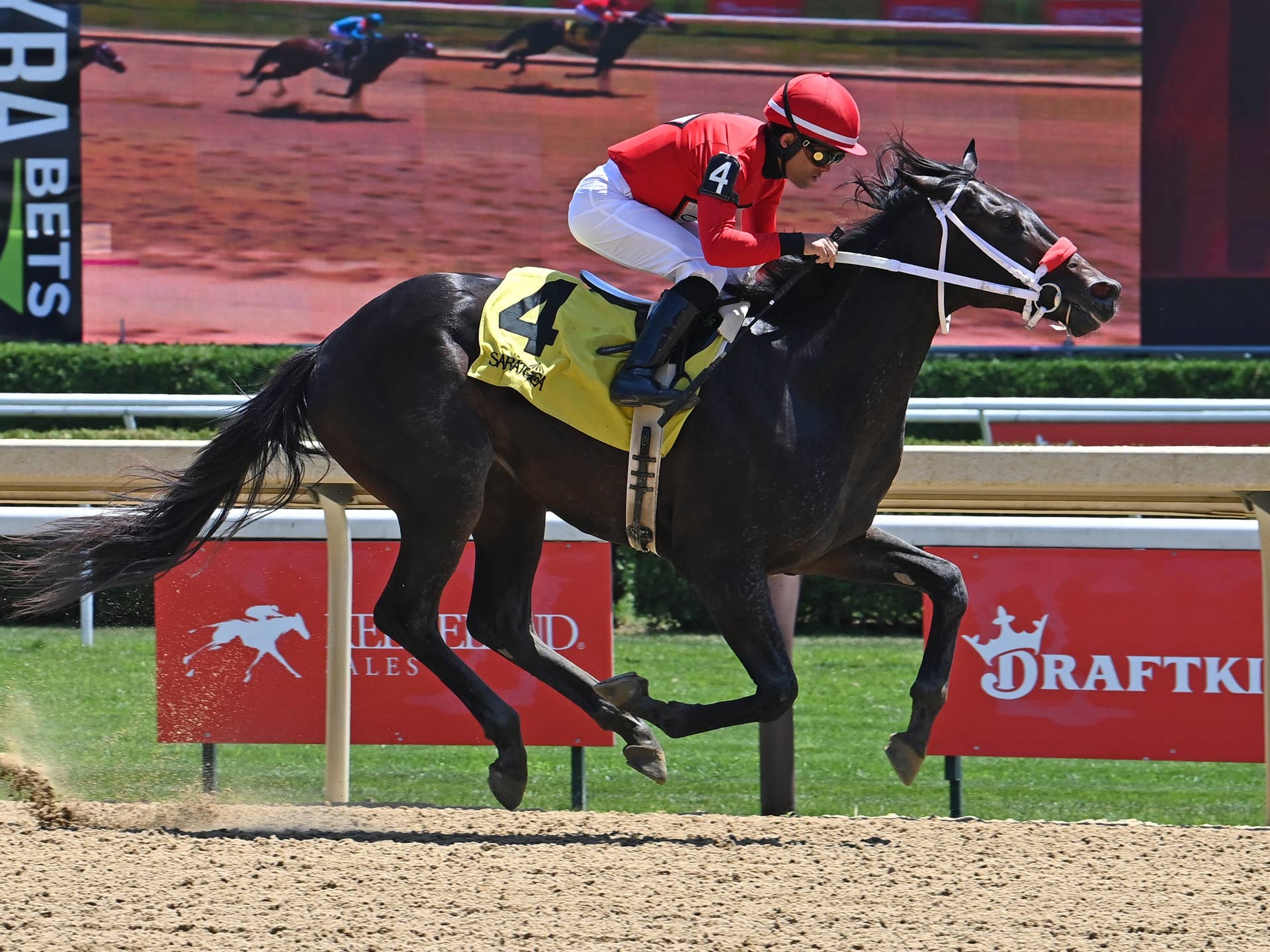 Gentildonna Surges to Victory in Dubai Sheema Classic - Paulick Report