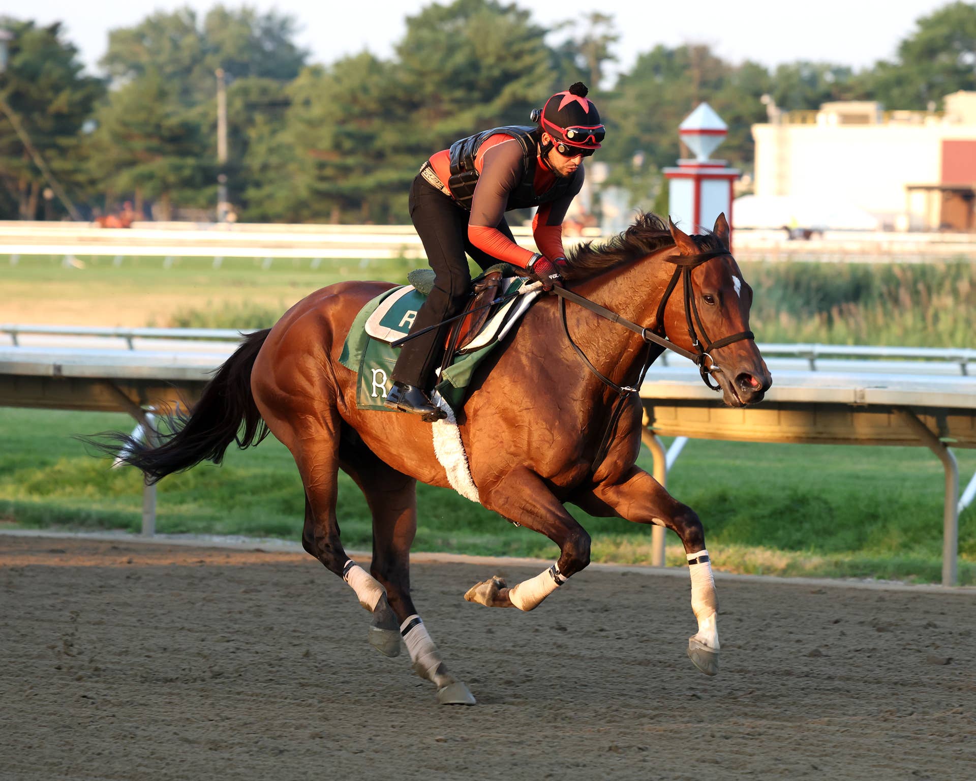 Admire Lead Gives Late Sire Stay Gold Another G1 Win In Japan's