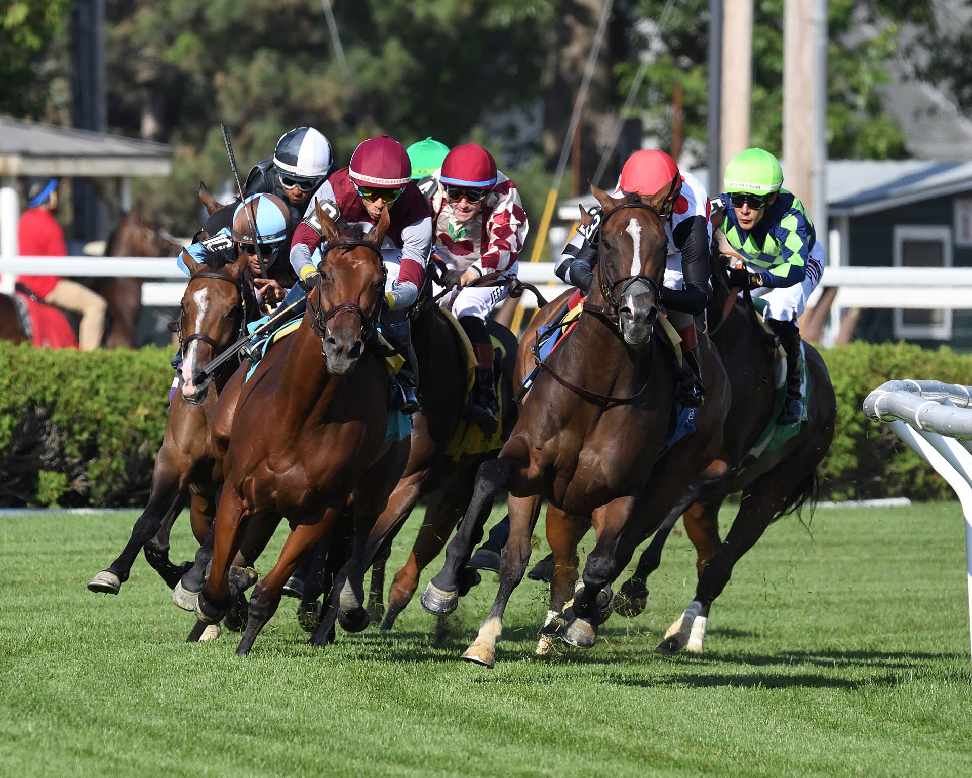 Liberty Island Secures Japan's Filly Triple Crown With Shuka Sho