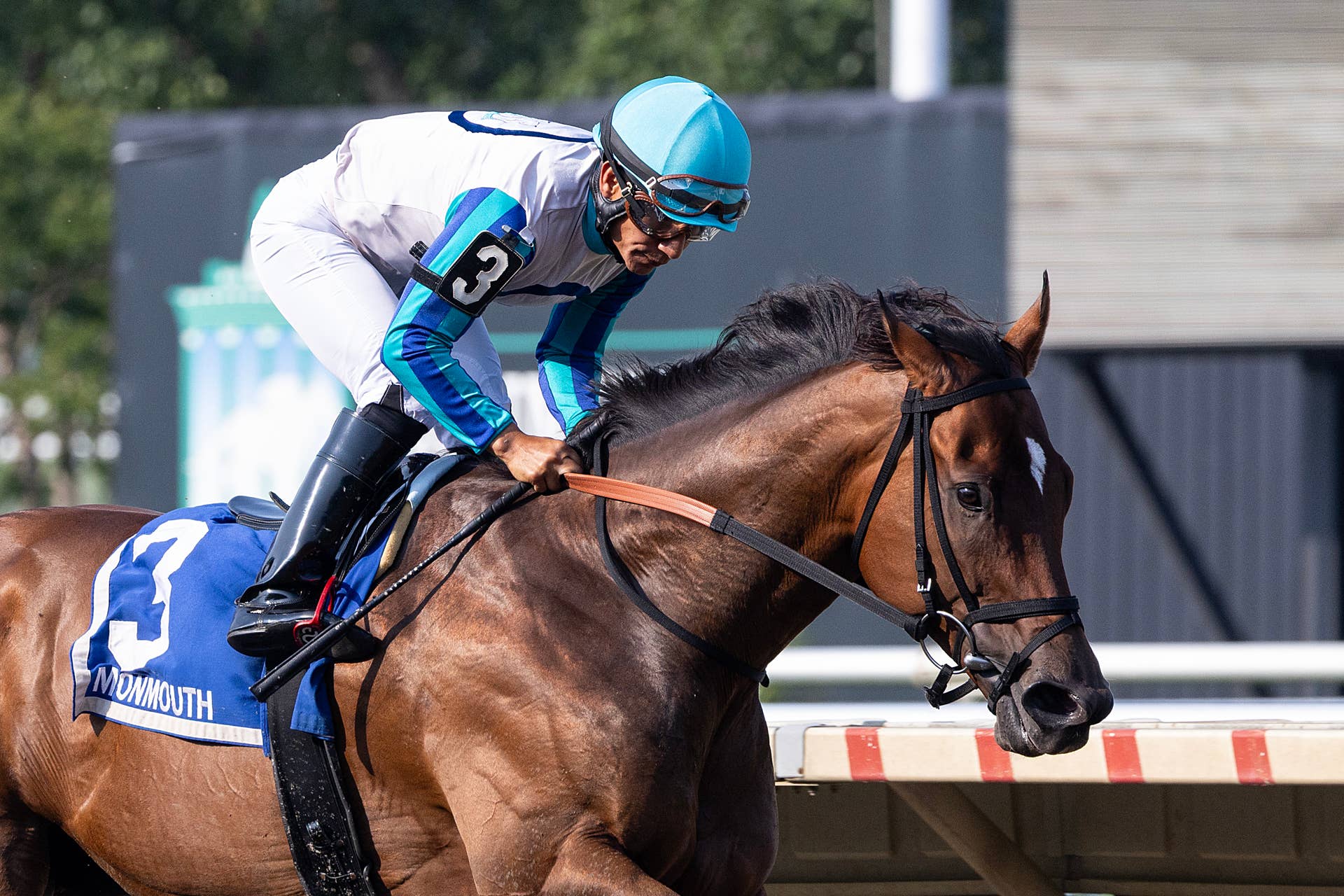 Liberty Island Secures Japan's Filly Triple Crown With Shuka Sho