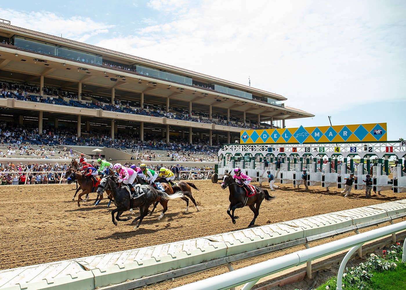 ‘Tremendous Summer Of Racing': All-Sources Wagering Up At Del Mar Meet