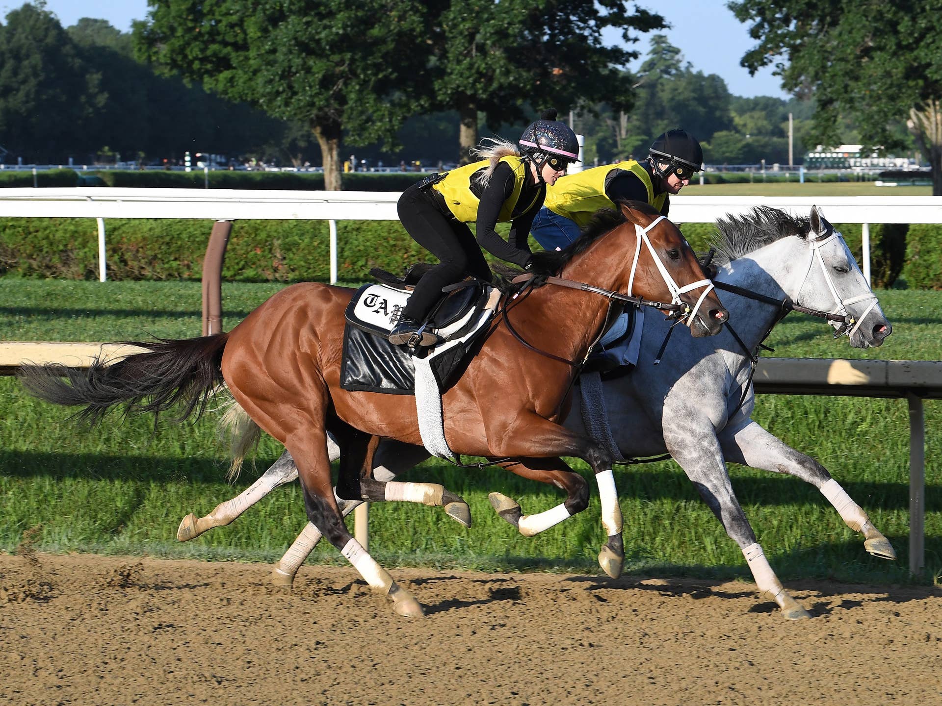 Longtime East Coast Trainer John Scanlan Dies At 68 - Paulick Report