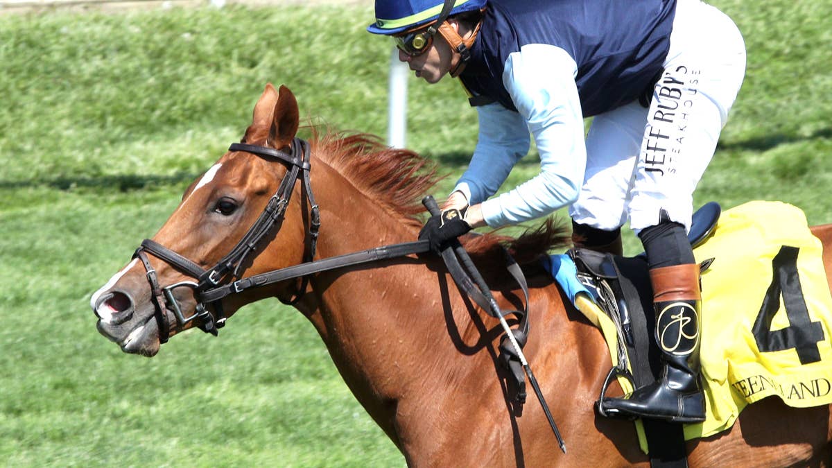East Jabip Goes For First Stakes Win In Pucker Up