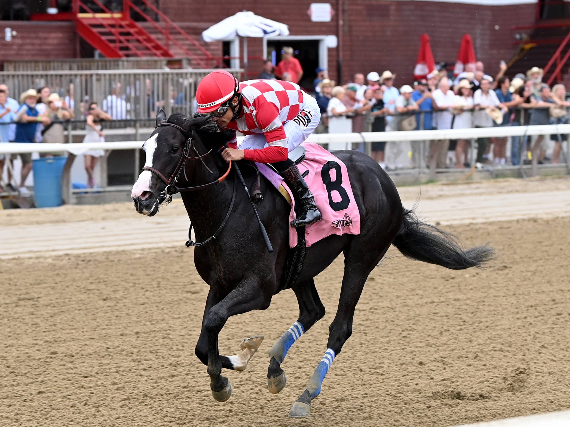 【ジェンティルドンナ/2014 DUBAI SHEEMA CLASSIC】 ジェンティルドンナ/2014 DUBAI SHEEMA CLASSIC】 Gentildonna Surges
