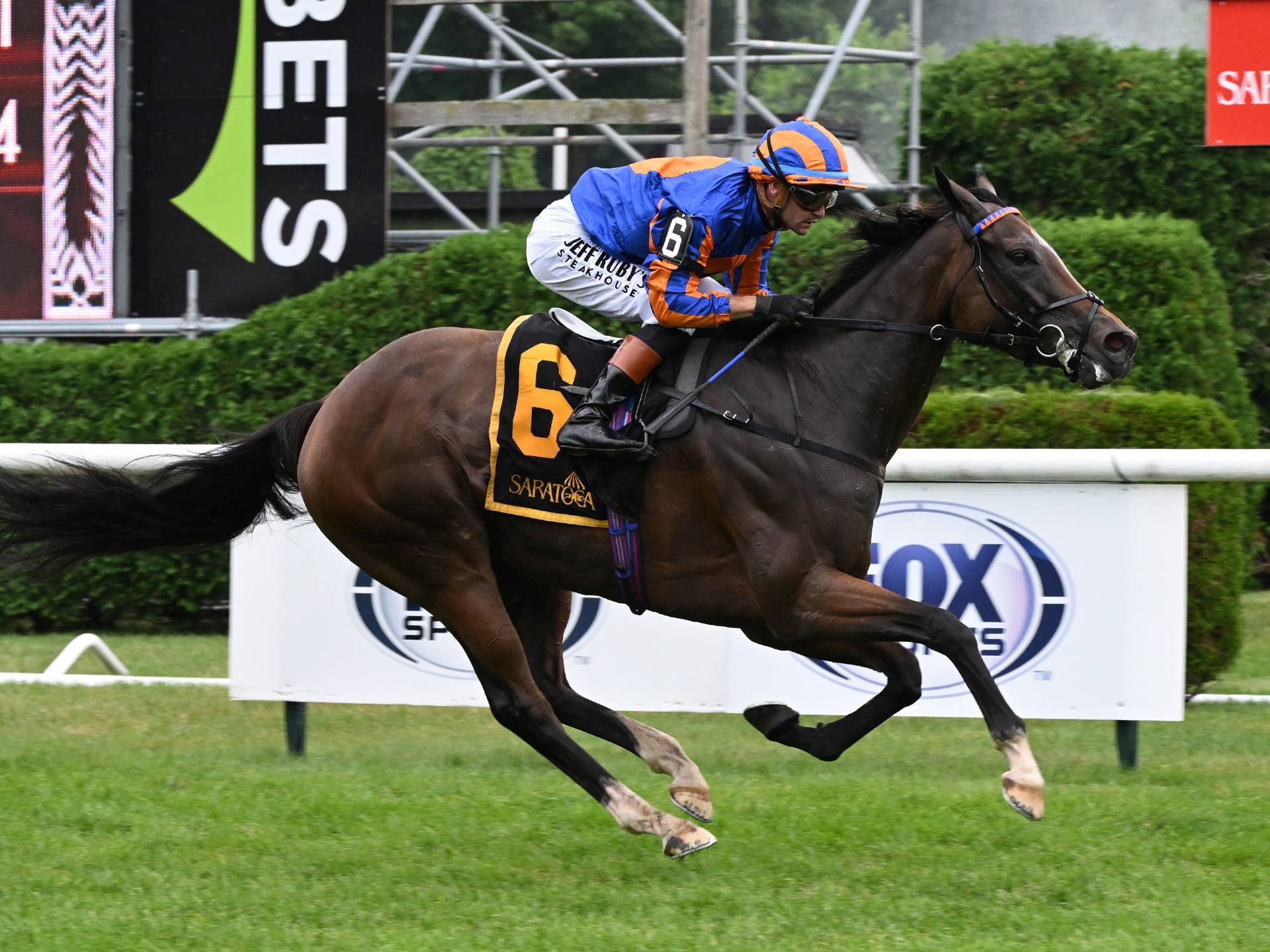 Survie Wheels Back Quick, Faces Males In Christophe Clement Turf