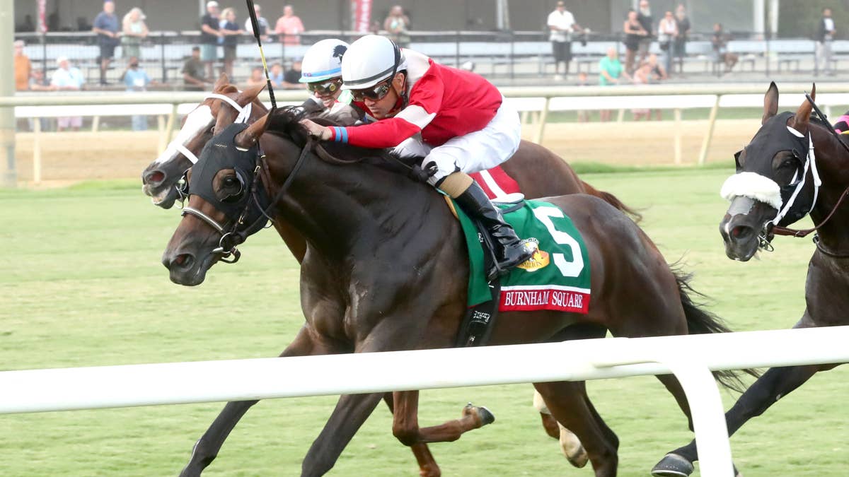 Breeders’ Cup Winner Ethical Diamond, Burnham Square Clash In Kentucky Turf Cup